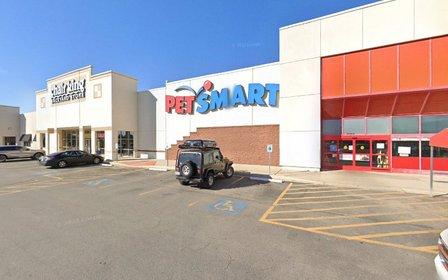 PetSmart Grooming