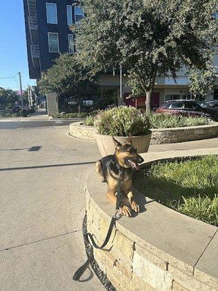 Off Leash K9 Training, LLC