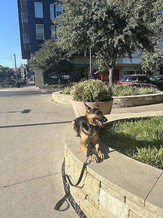Off Leash K9 Training, LLC