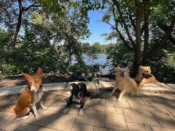 Pack Vibes ATX