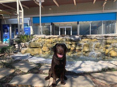 Wet Nose Training