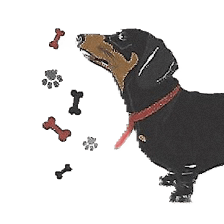 Good Life Pet Sitting-Stress Free in home care