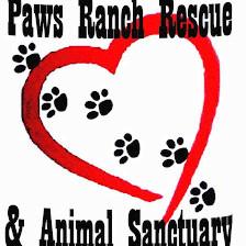Paws Ranch Rescue & Animal Sanctuary