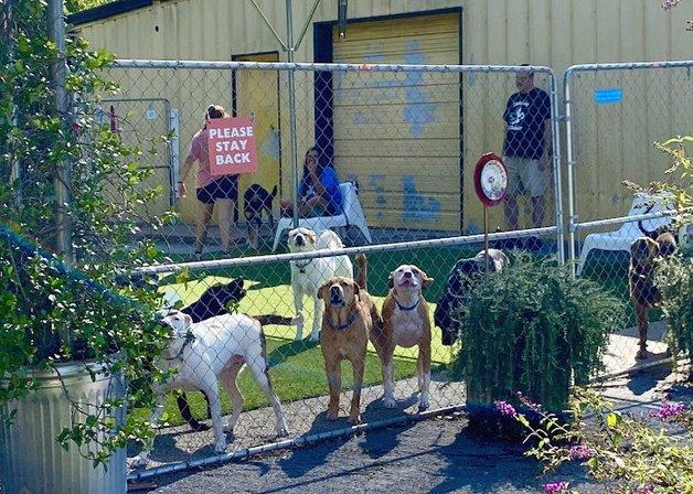 Southpaws Playschool