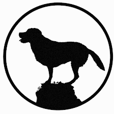 The Naked Dog