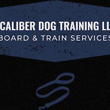 Xcaliber Dog Training LLC