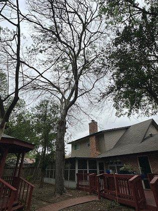 Main Street Renewal - San Antonio