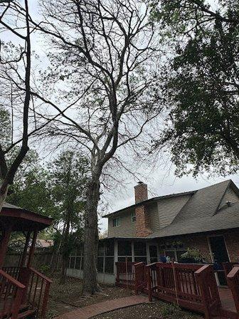 Main Street Renewal - San Antonio