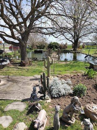Water Garden Gems Garden Center
