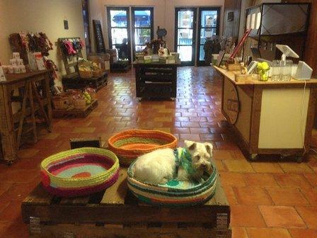 Pet Wants San Antonio