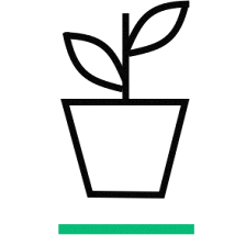 Plant Shoppe