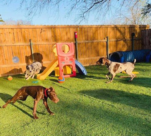 Pampered Pooch Parlor