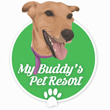 My Buddy's Pet Resort