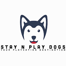 Stay n Play Dogs, LLC