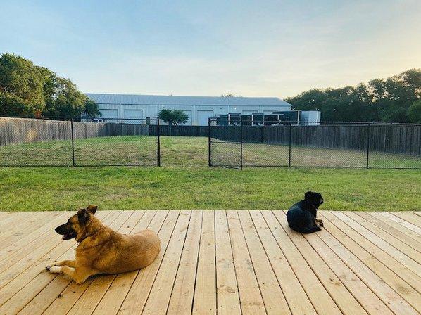 Lucky's Paw Playhouse