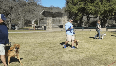 Guter Hund K9 Training