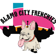 Alamo City Frenchies