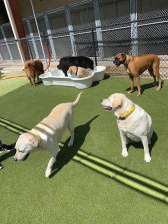 Happy Tails Pet Resort