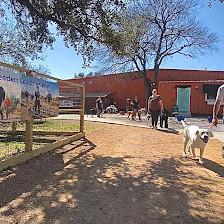 My Love Fur Paws Pet Resort