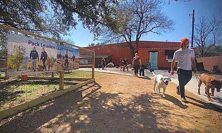 My Love Fur Paws Pet Resort