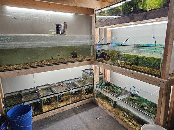 Creekwood Aquatics LLC