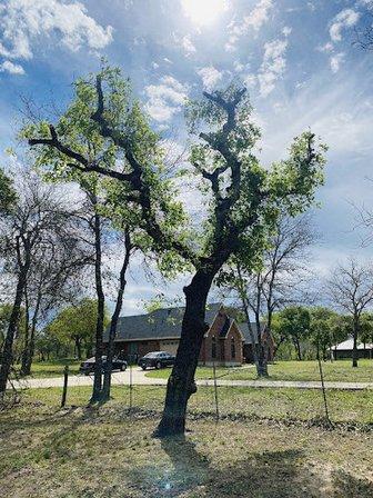 Adkins - TX