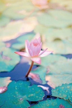 San Antonio Counseling and Healing Center