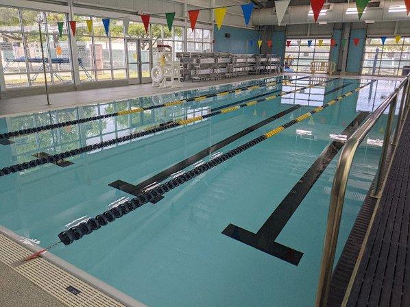 Strokes of Genius - Swim School