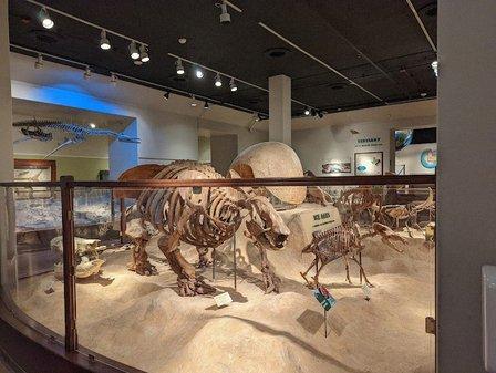 Texas Science & Natural History Museum