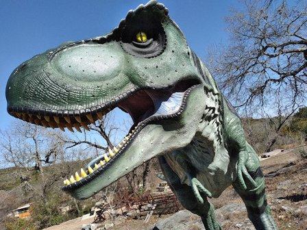 The Heritage Museum of the Texas Hill Country