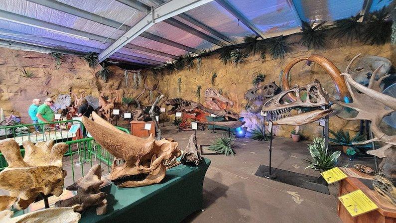 Dinosaur George Museum and Gift Shop