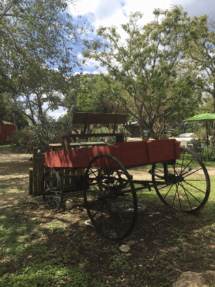 Historic Downtown Helotes
