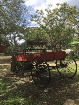Historic Downtown Helotes