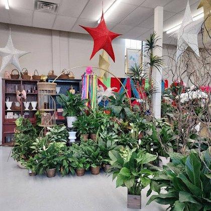 A Dreamweaver Florist & Special Events