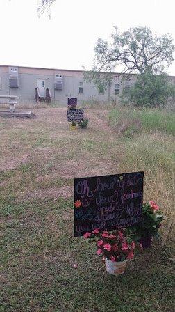 Cibolo Creek Community Church