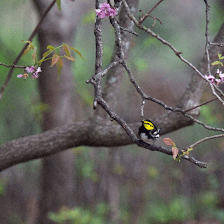 Friedrich Wilderness Park