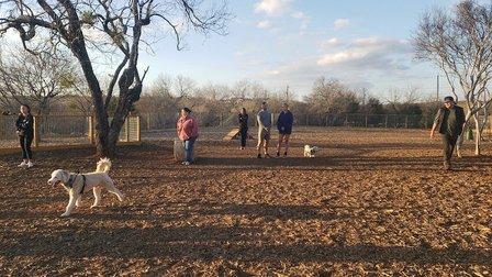 Fox Dog Park