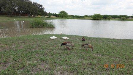 SWR Nature Trailhead Pond End