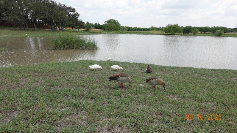 SWR Nature Trailhead Pond End