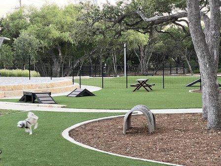Coyote Dog Park