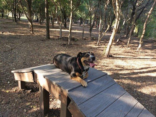 Hardberger Park - Dog Park (West)