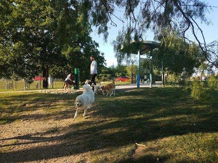 Pearsall Dog Park