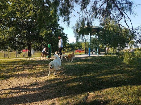 Pearsall Dog Park