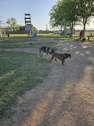 Schertz Dog Park