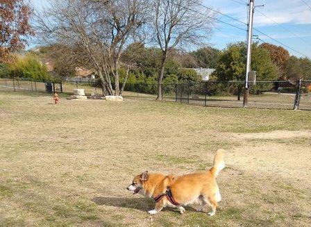 Aina Blake Dog Park