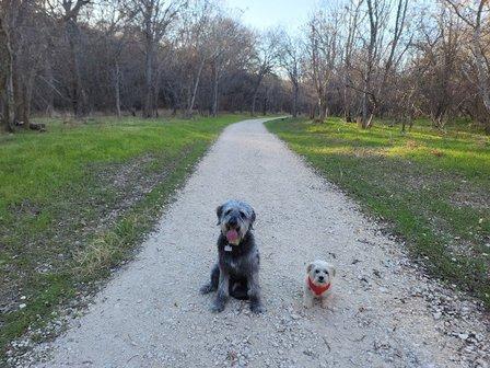 Cibolo Creek Primitive Trail