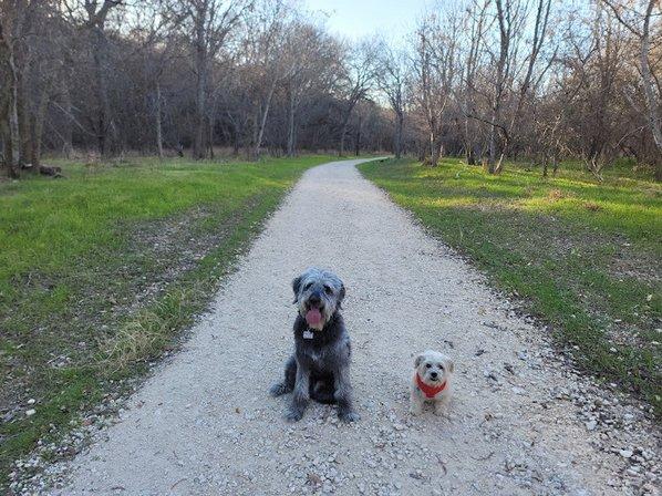 Cibolo Creek Primitive Trail