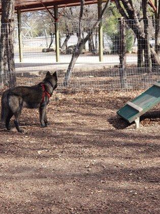 Lady Bird Johnson Dog Park