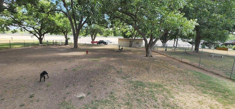 Barky Park