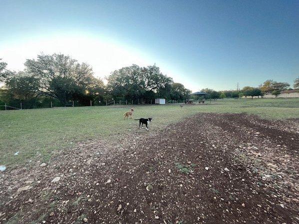 Puppy Playland Dog Park